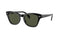 Ochelari Soare Femei OS Ray-Ban RB0707S 901/31 53